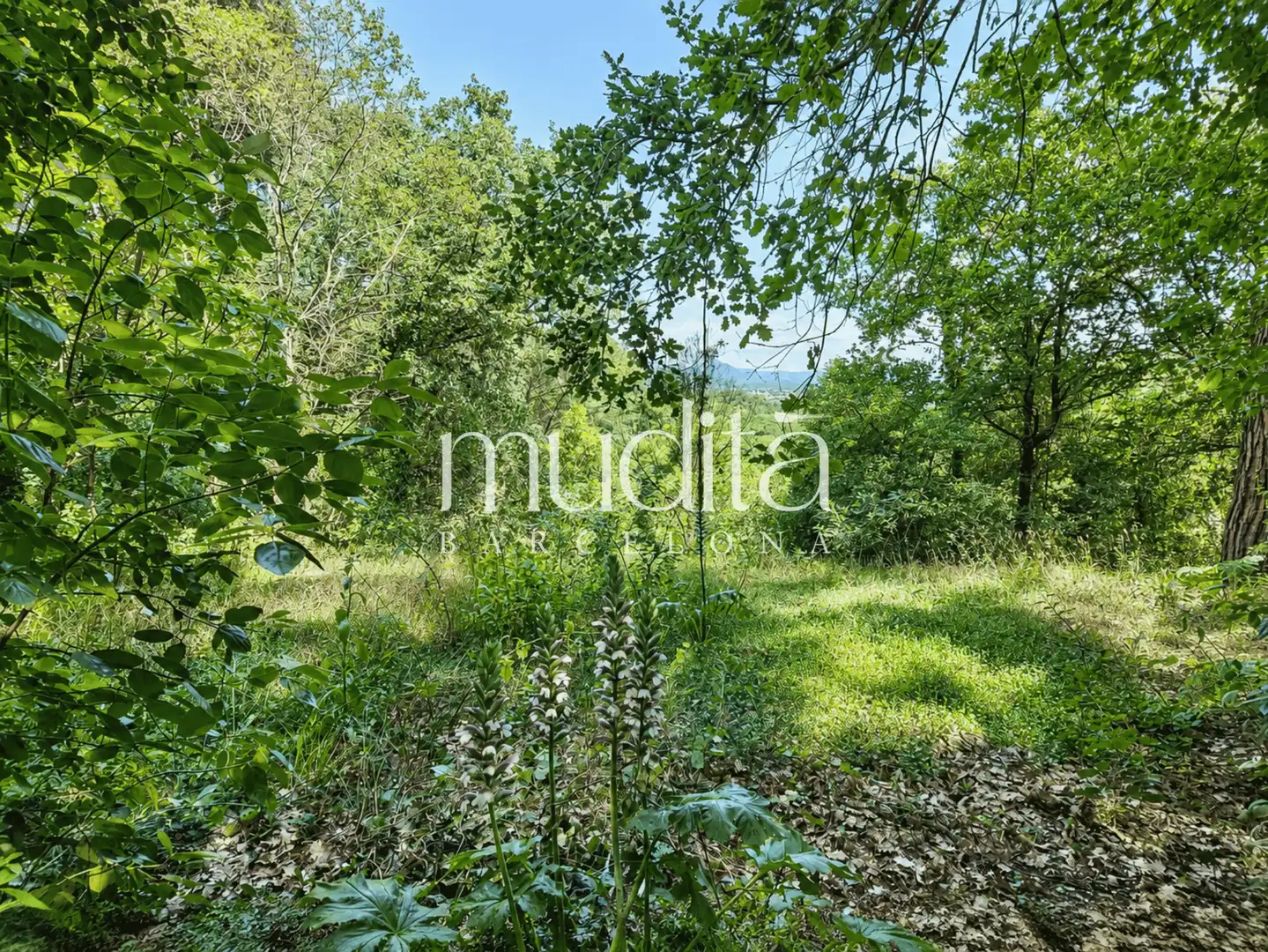 Casa o chalet en venta en Sant Celoni con Calefacción, Jardín privado y Terraza