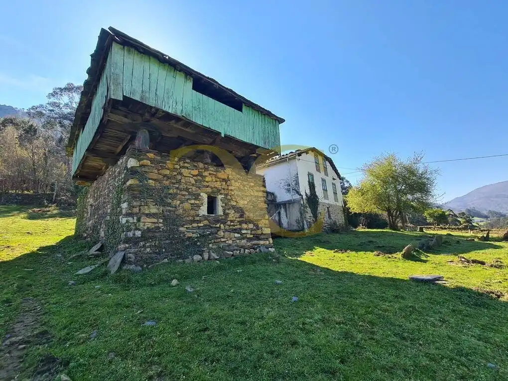 Vista exterior de Casa o xalet en venda en Villayón amb Jardí privat
