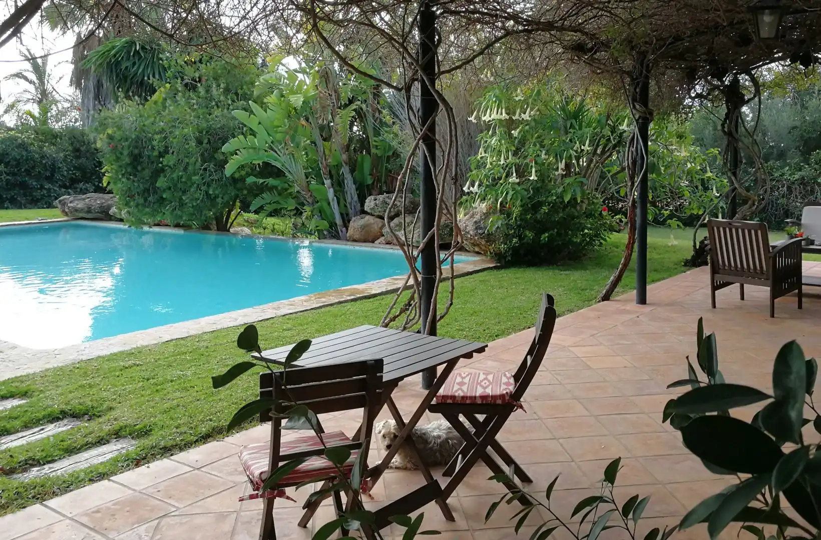 Casa o xalet en venda a Carrer de Génova, 19, Es Garrovers
