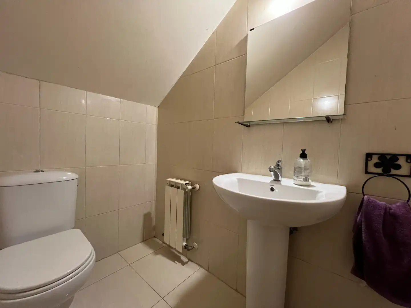 Baño de Casa o chalet en venta en Seseña con Calefacción, Jardín privado y Terraza