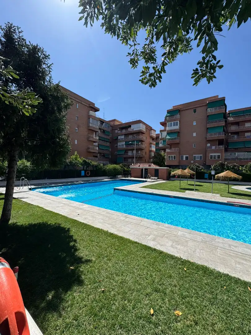 Flat for rent in Barrio de Zaidín