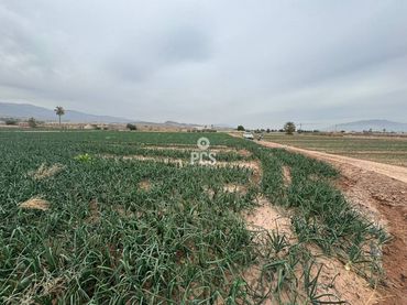 Rustikales Grundstück zum Verkauf in Camino Huertos Nuevos Zona Ñorica S/N