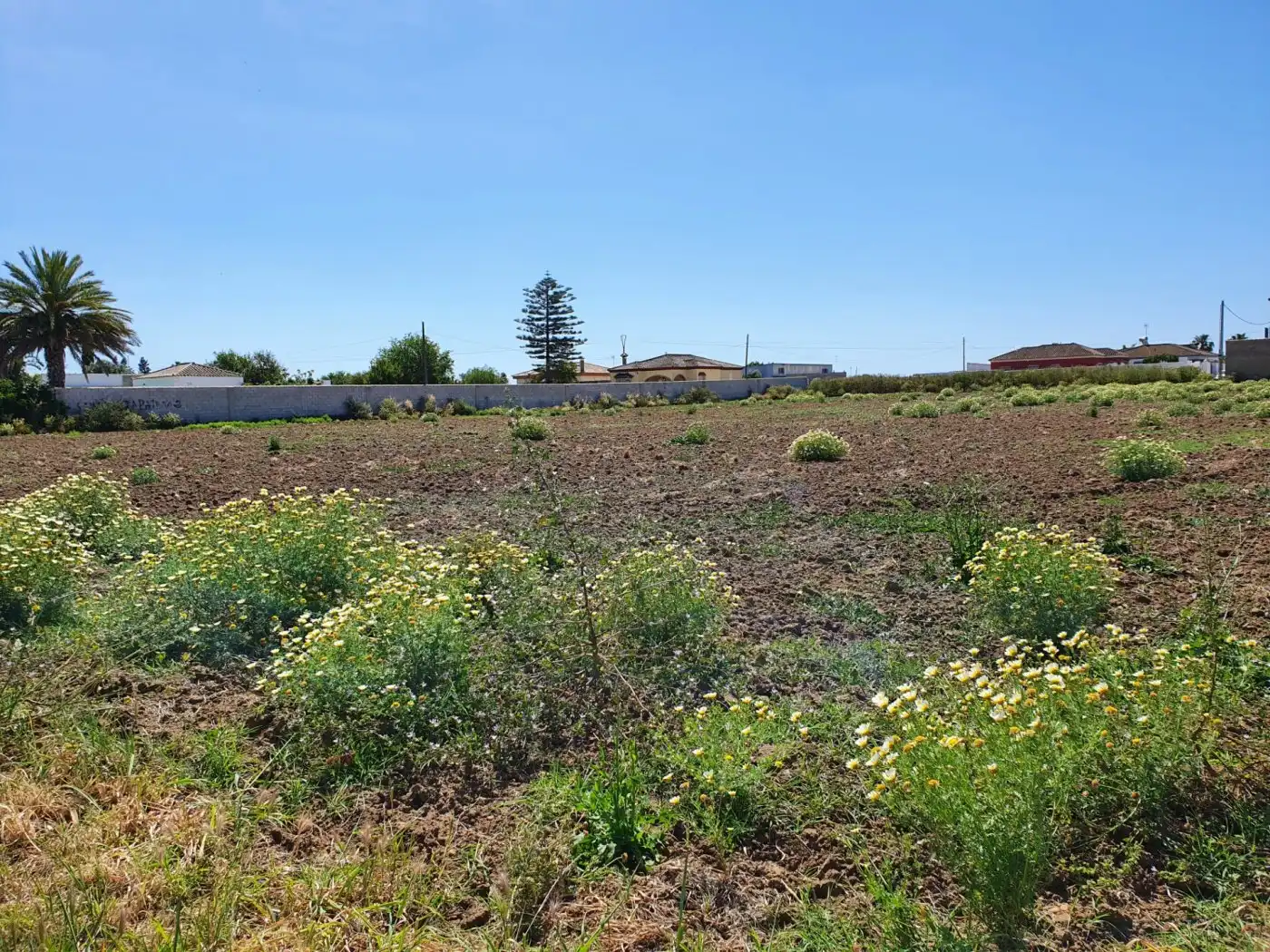 Terreno residencial en venta en La Banda - Campo de Fútbol, imagen 4