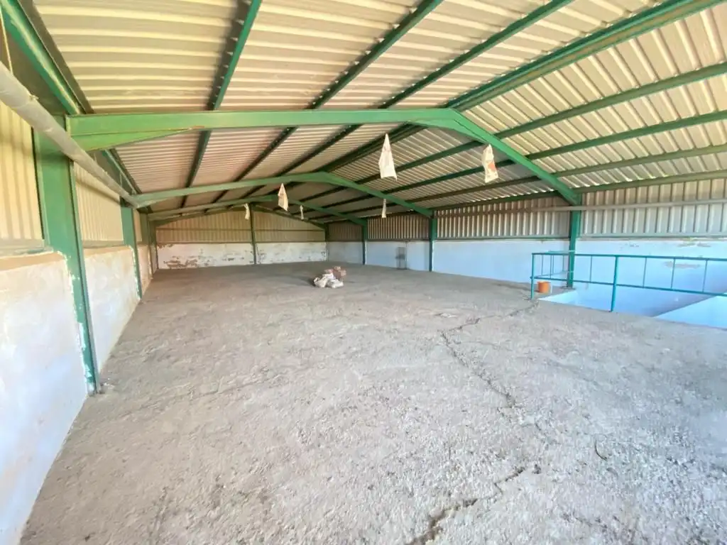 Nau industrial en venda a Dehesilla de Calamón - Campomanes, imagen 7