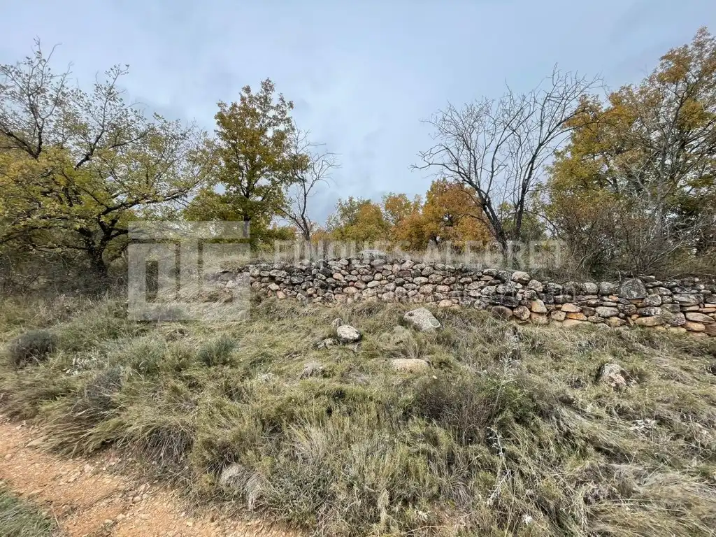 Casa en venta en POLIGONO 2 PARCELA 97, imagen 5