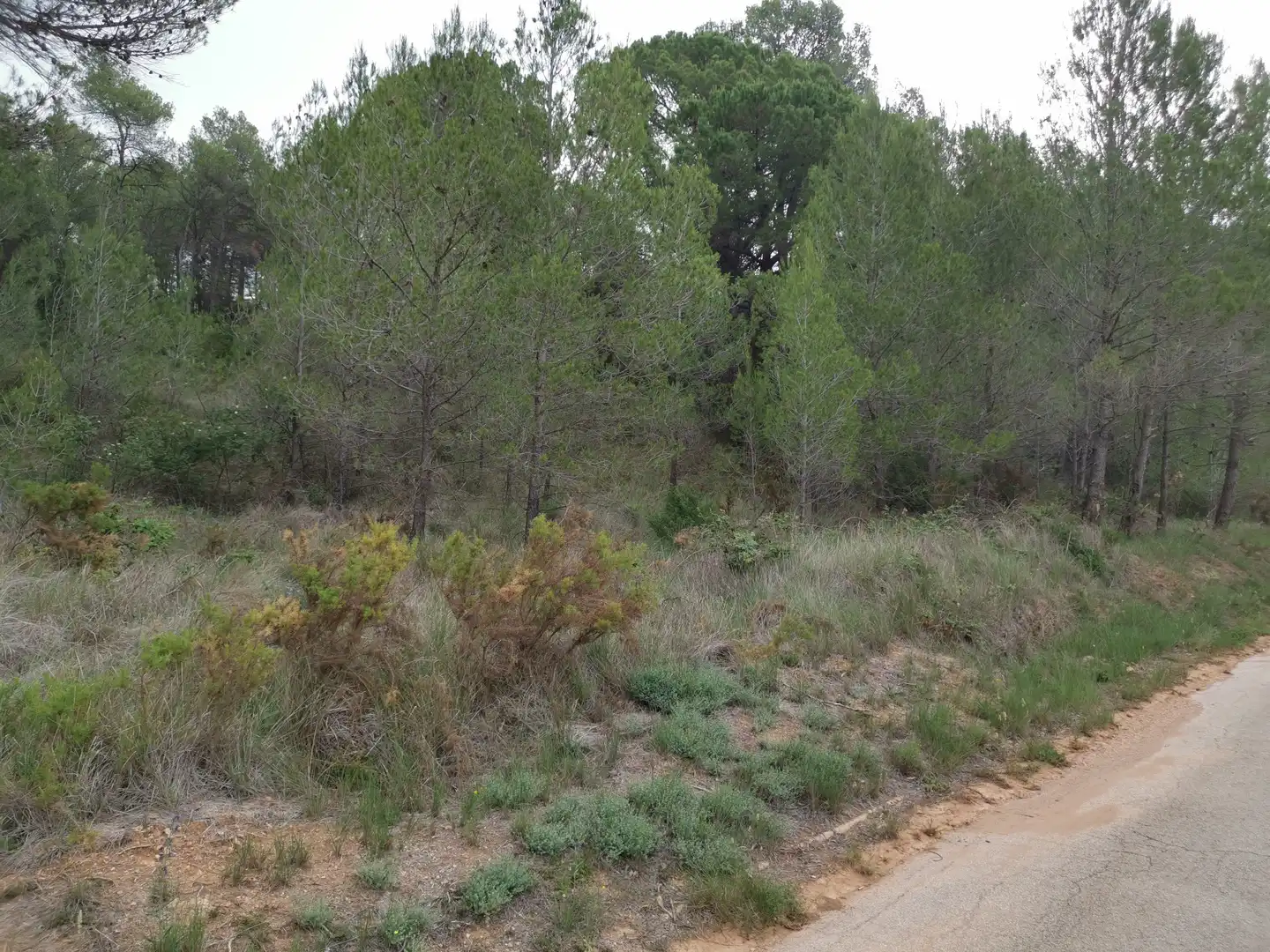 Residencial en venda en El Montmell