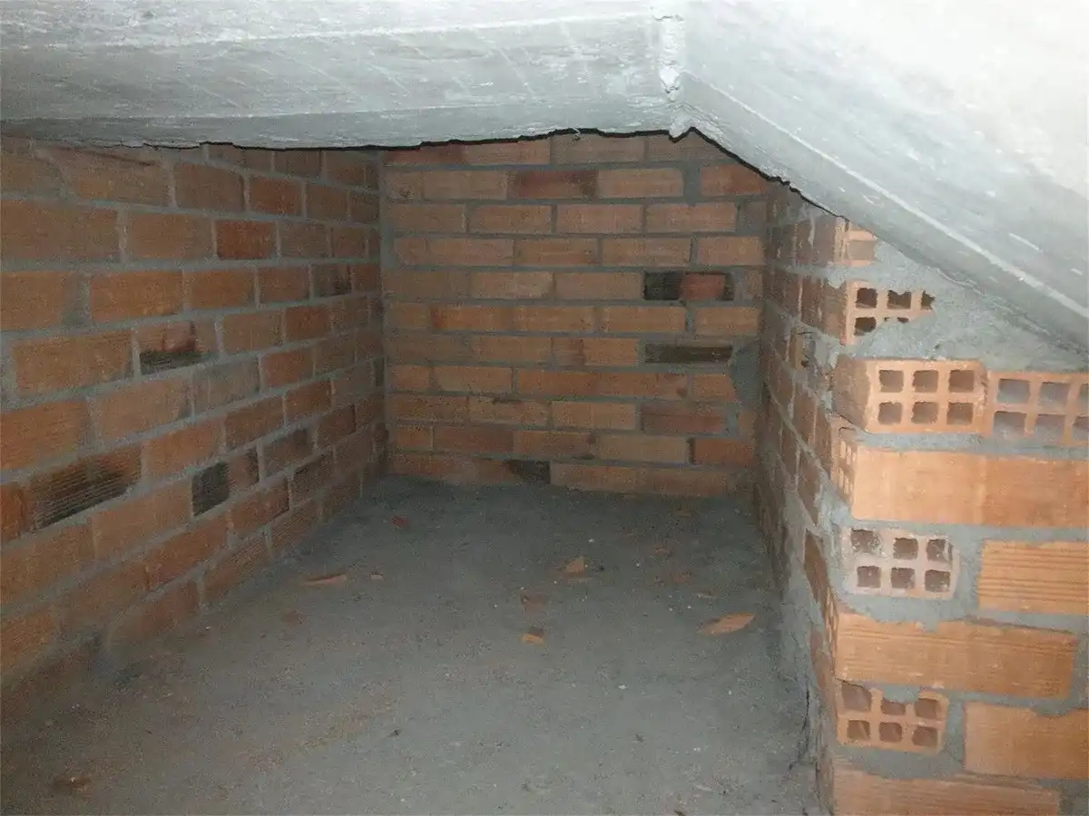Business premises for sale in Couto, imagen 4