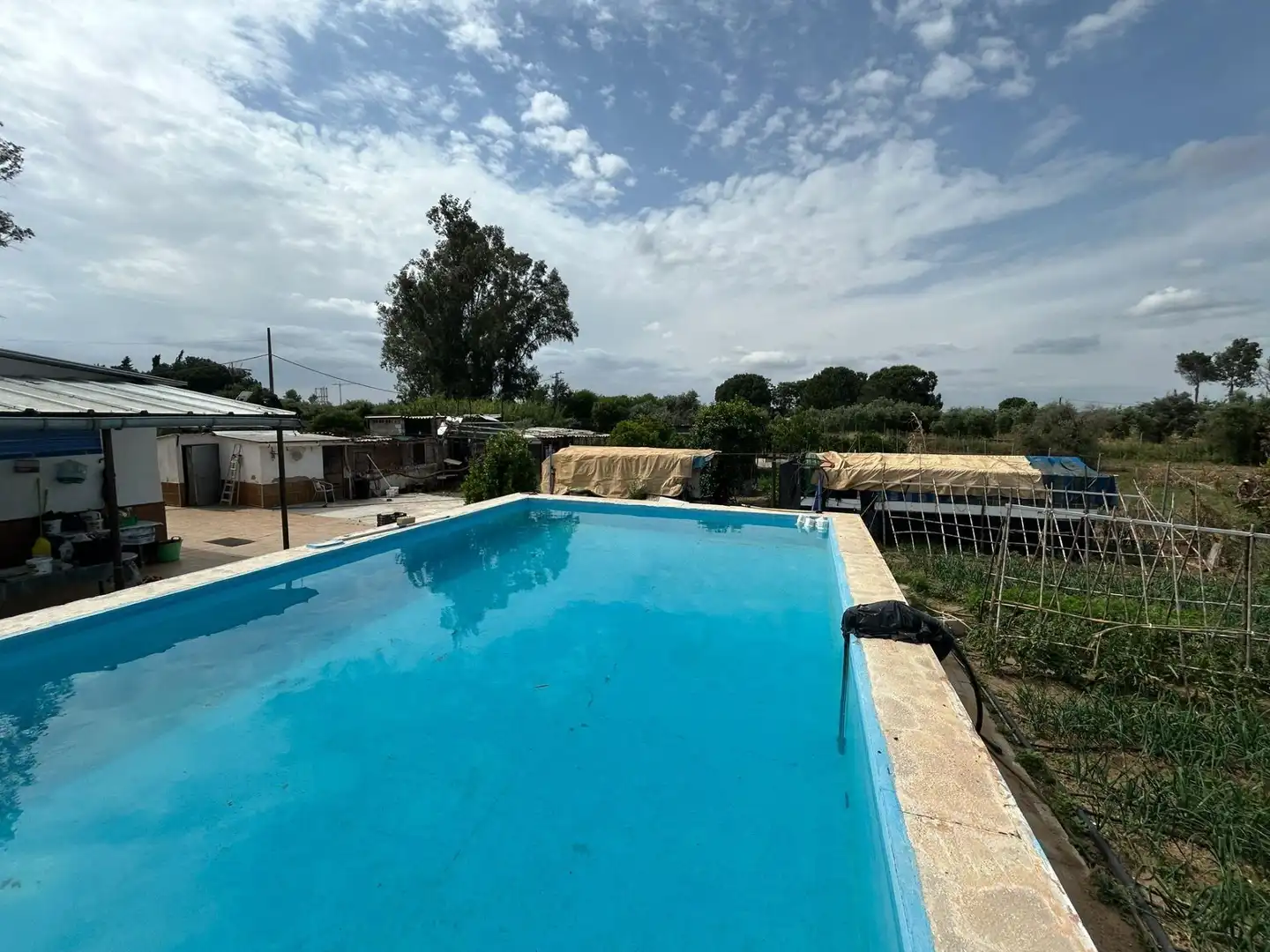 Piscina de Finca rústica en venta en Utrera