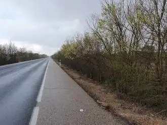 Terrenys i solars en venda a Pt Paraje Cotos, imagen 6