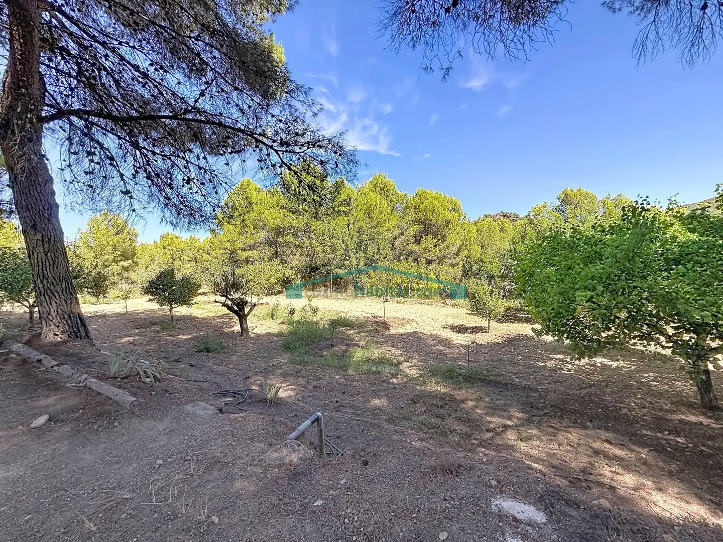 Maison rustique avec jardin à vendre à Sagunto ciudad, imagen 35