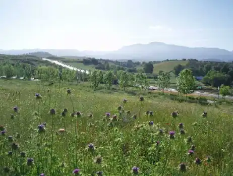 Wohnbaugrundstück zum Verkauf in Camino Ancho, imagen 3