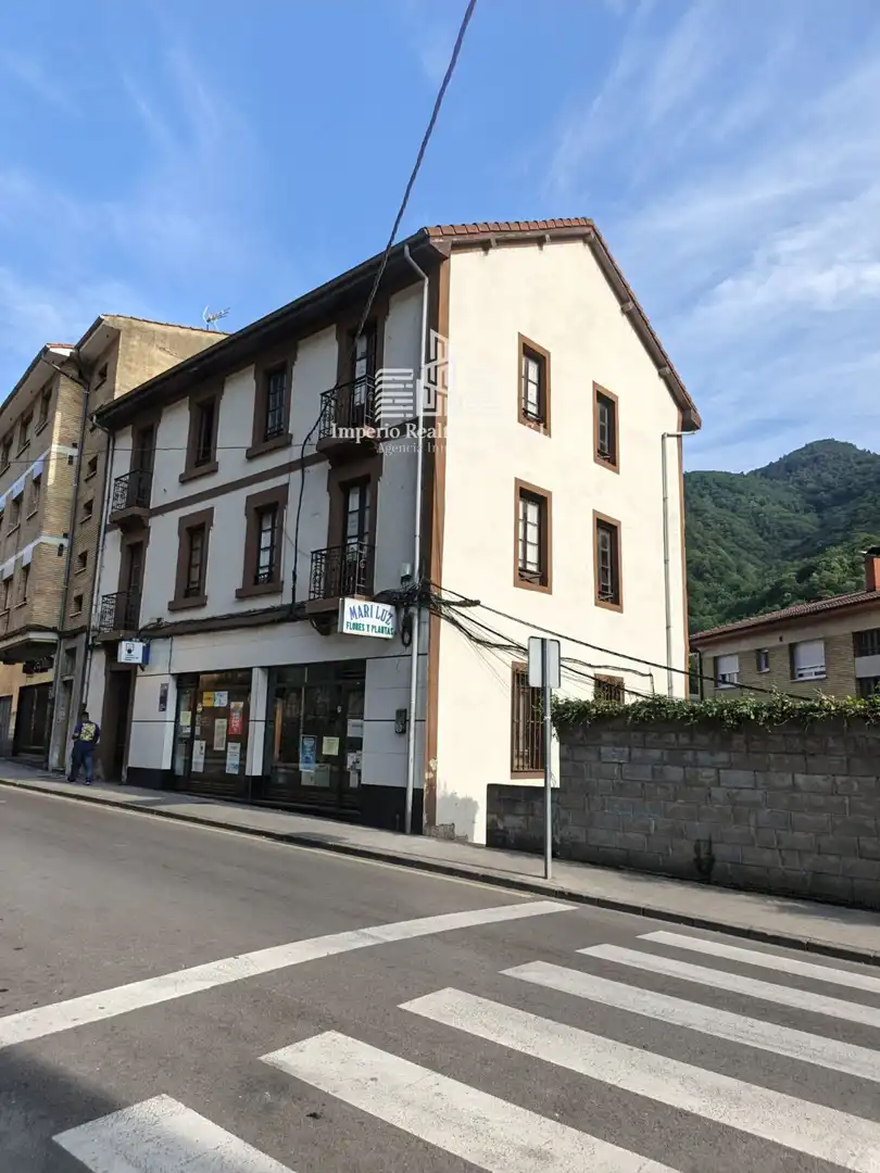 Vista exterior de Edifici en venda en Mieres (Asturias)