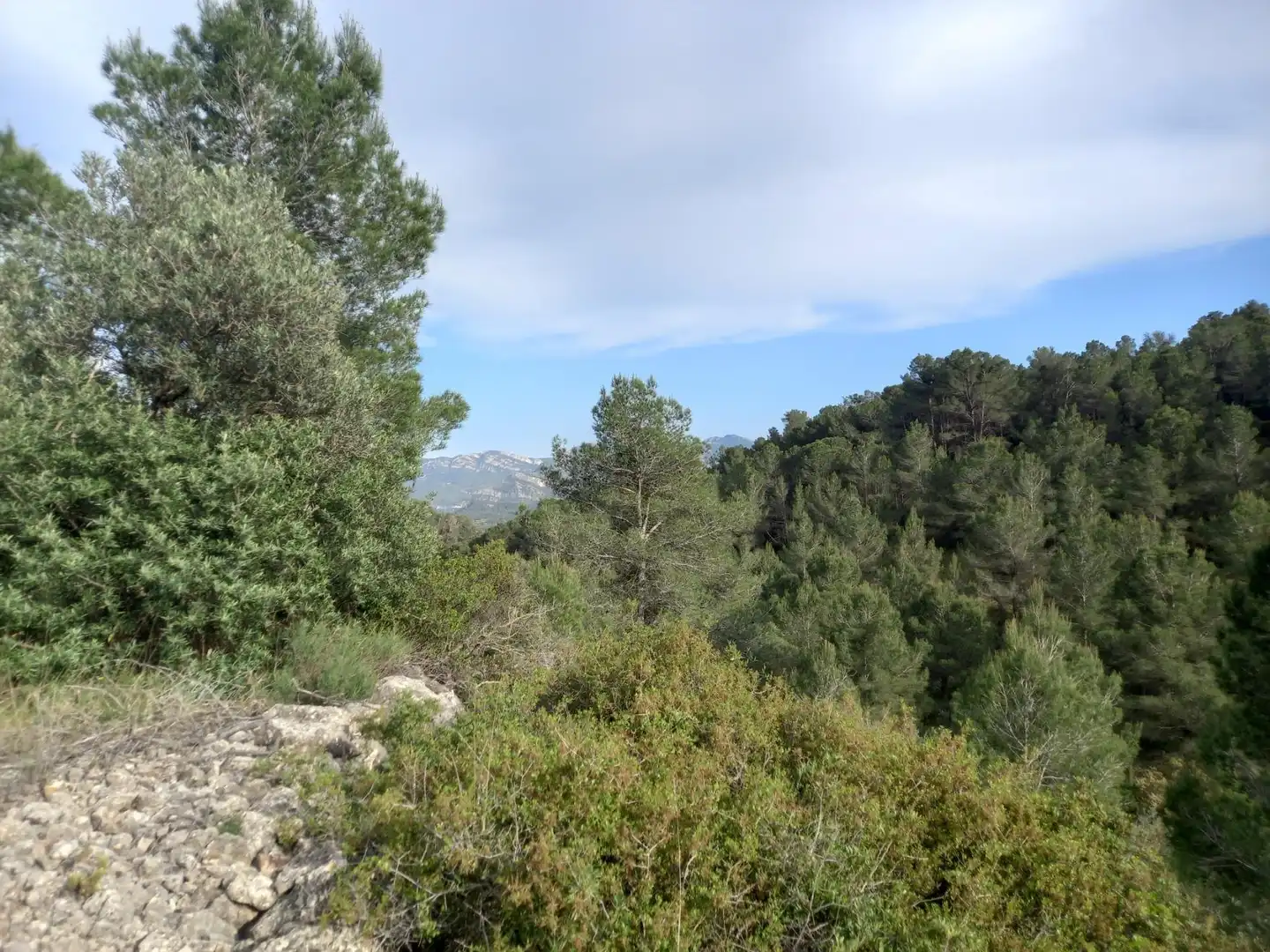 Rural land for sale in El Pinell de Brai, imagen 29