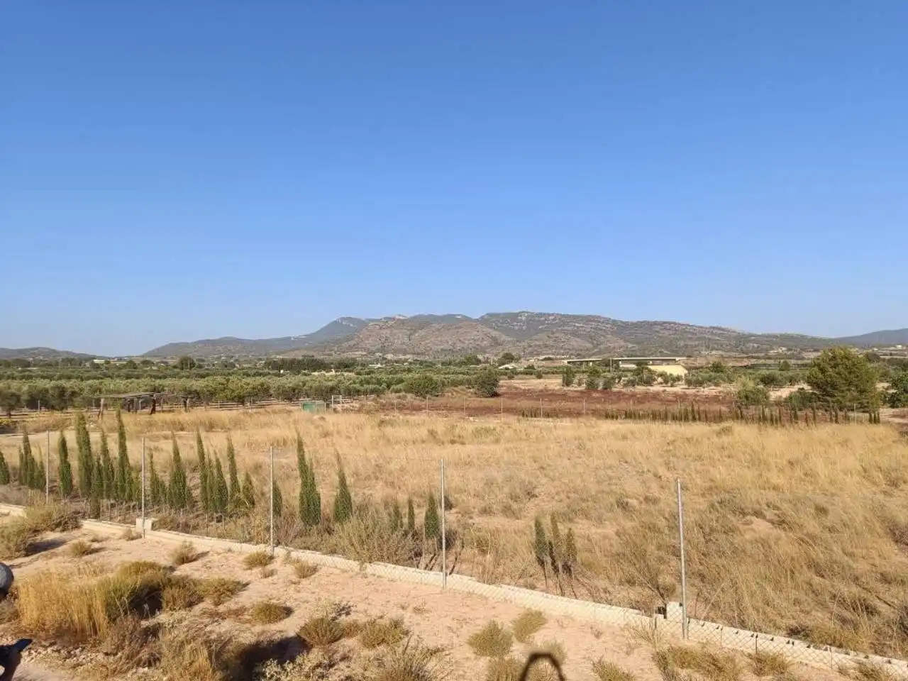 Residential land for sale in Sax, imagen 4