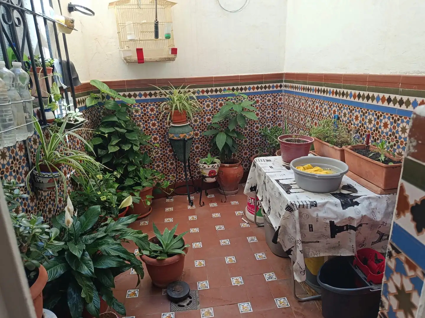 Terraza de Casa o chalet en venta en Bajadilla - Fuente Nueva