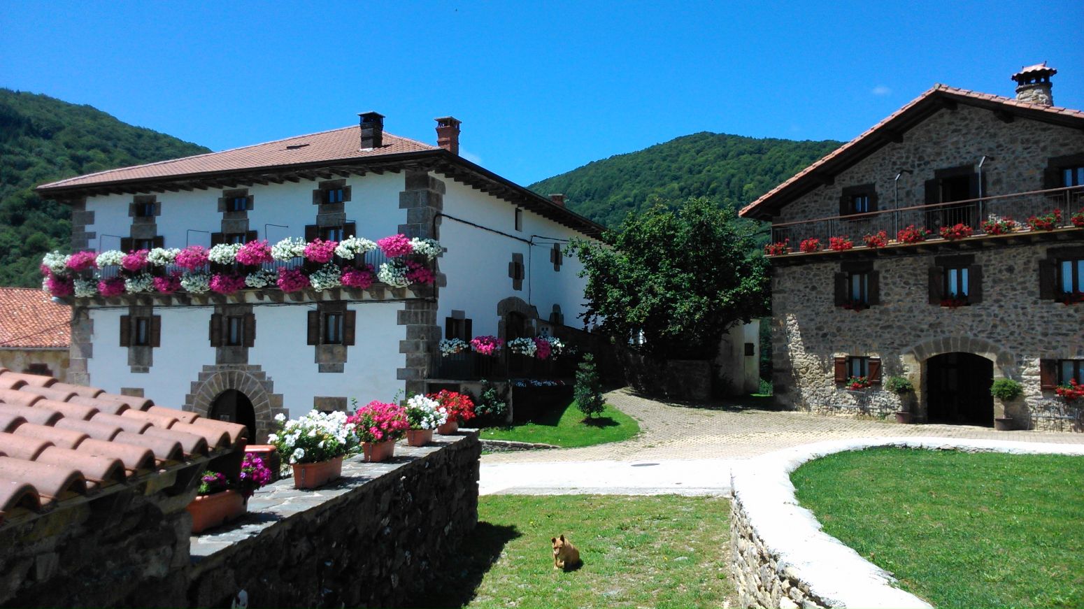 Casa o xalet en venda a Basaburua