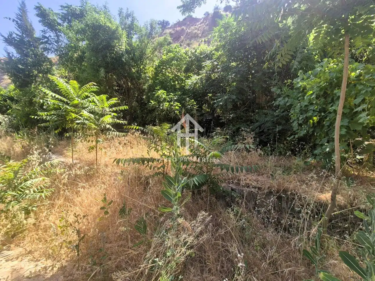 Terreno rustico in vendita a Loja, imagen 4