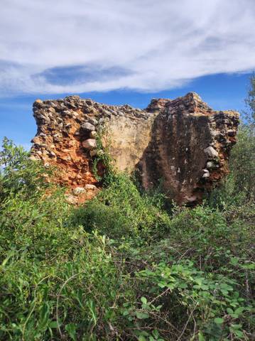 Finca rústica en Venta en ELS PLANS en Ulldecona