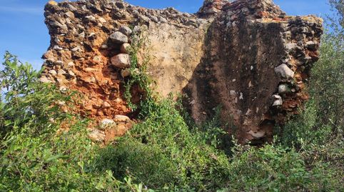 Finca Rúst. en venta en Ulldecona.