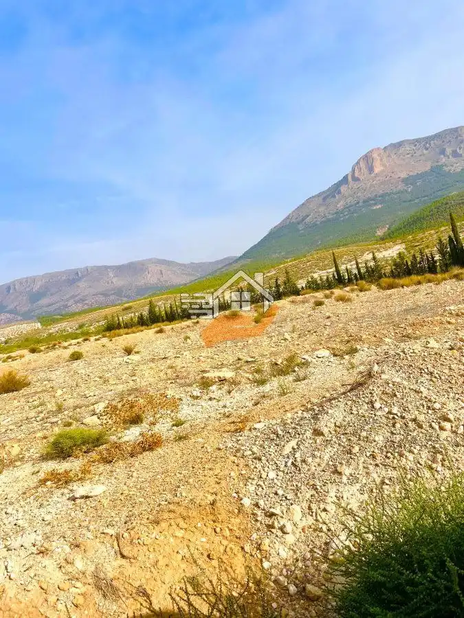 Residential land for sale in Vélez-Rubio, imagen 7