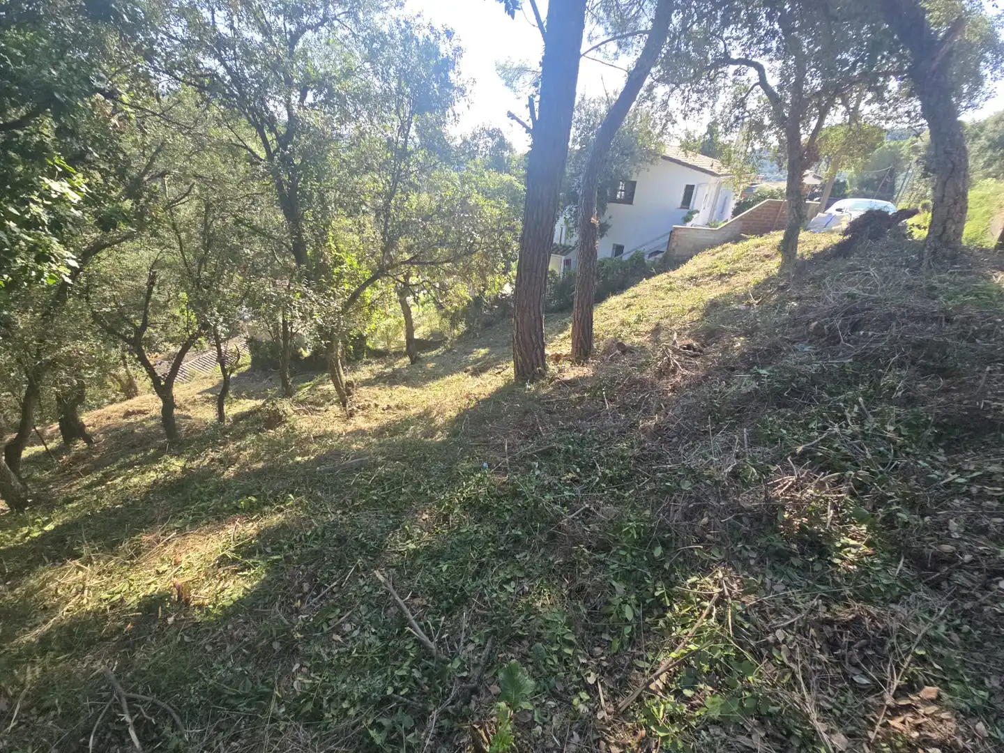 Lands and plots for sale in Olivera, imagen 8