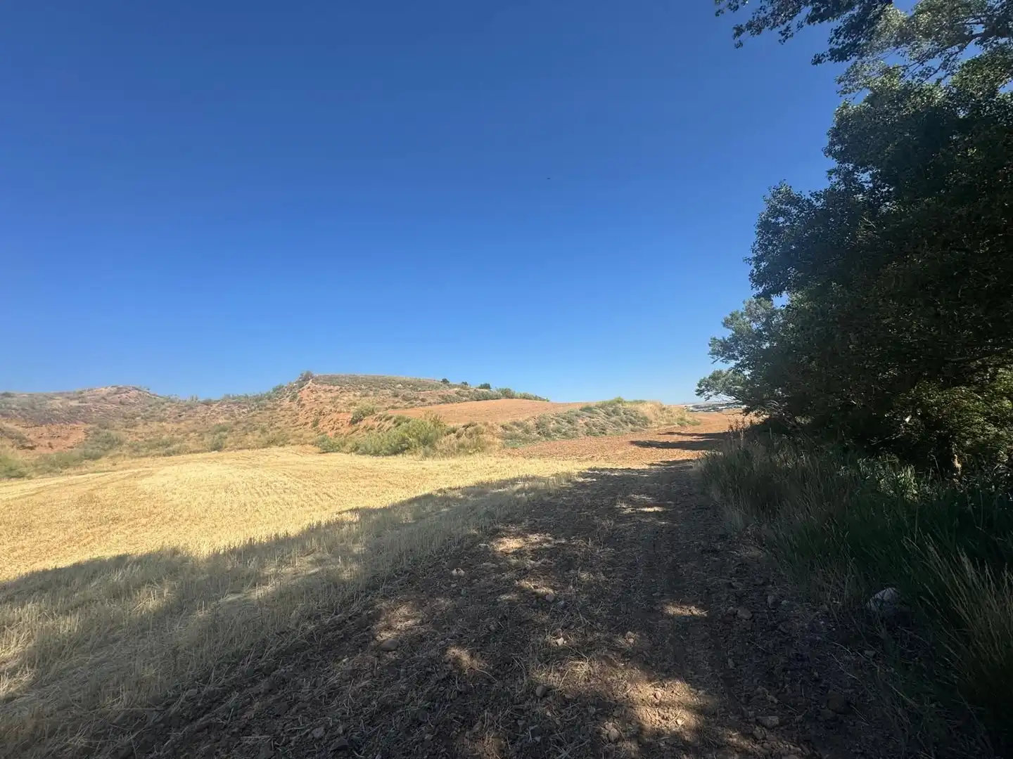 Terreny rústic en venda a Los Santos de la Humosa, imagen 3