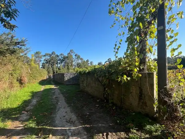 Wohnbaugrundstück zum Verkauf in Sequiña, imagen 26