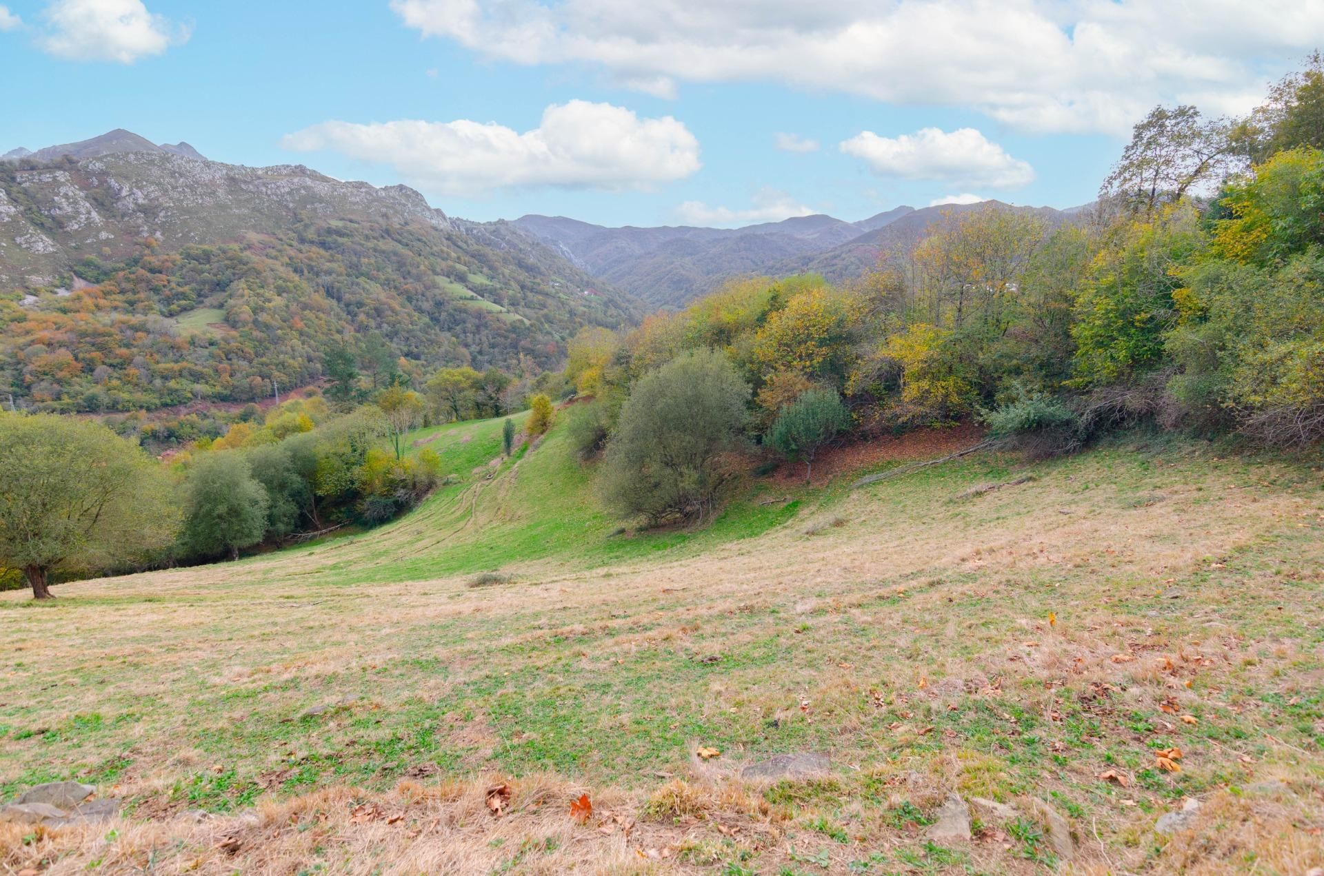 House or chalet for sale in Piloña  with Private garden