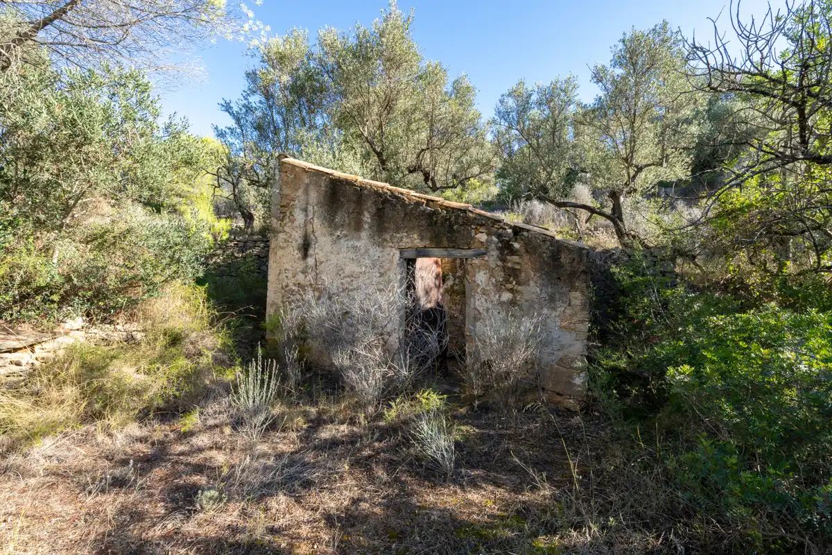 Terreny rústic en venda a Camí de la Potra de Pino 28, imagen 12