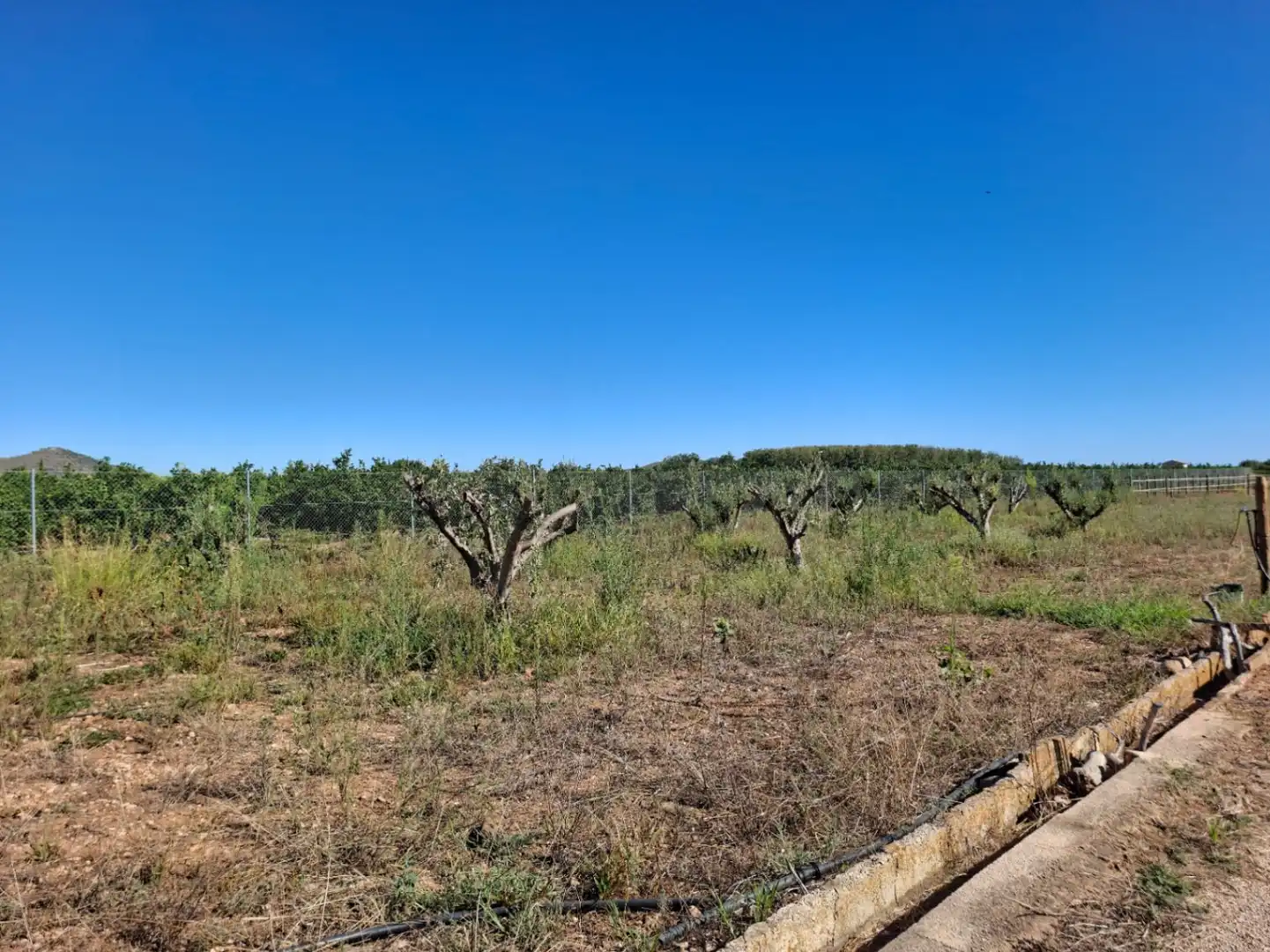 Terreny residencial en venda a Pego, imagen 22