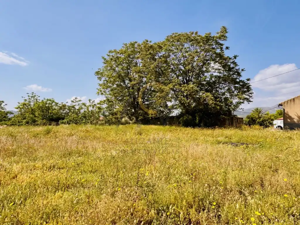 Casa rústica en venta en Partida Alcana De, imagen 9