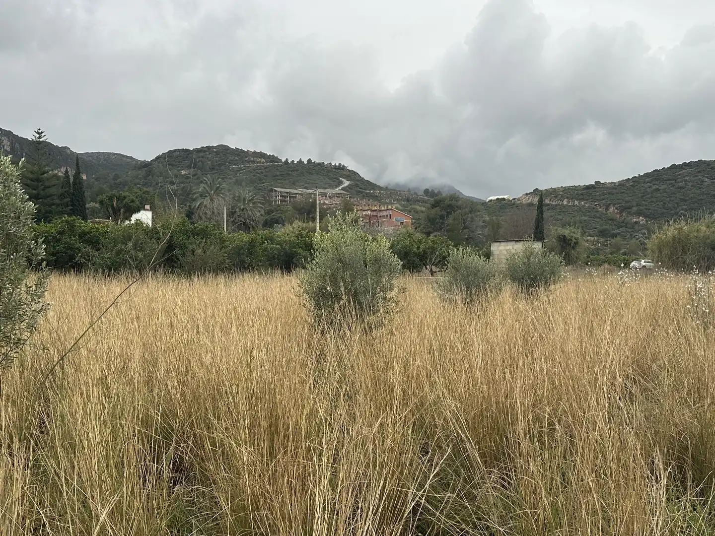 Terreno rustico in vendita a Pego, imagen 17