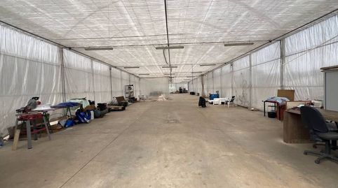 Exclusiva explotación agrícola en venta en Llanera, Asturias., immagine 4