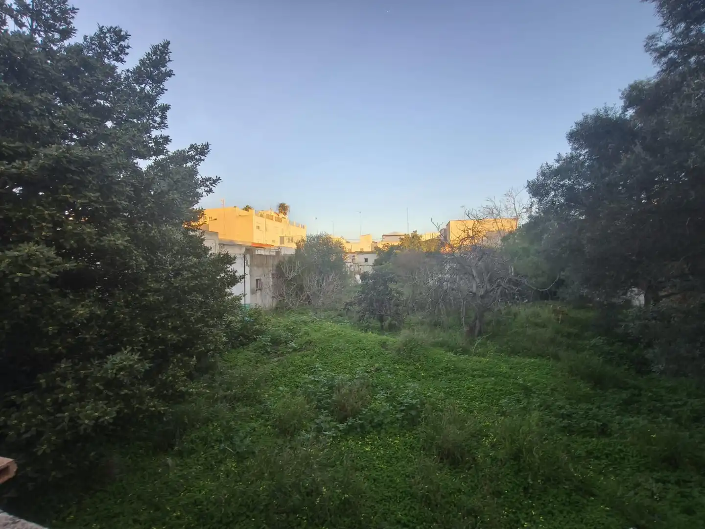 Terreni e lotti in vendita a La Casería - San Carlos, imagen 5