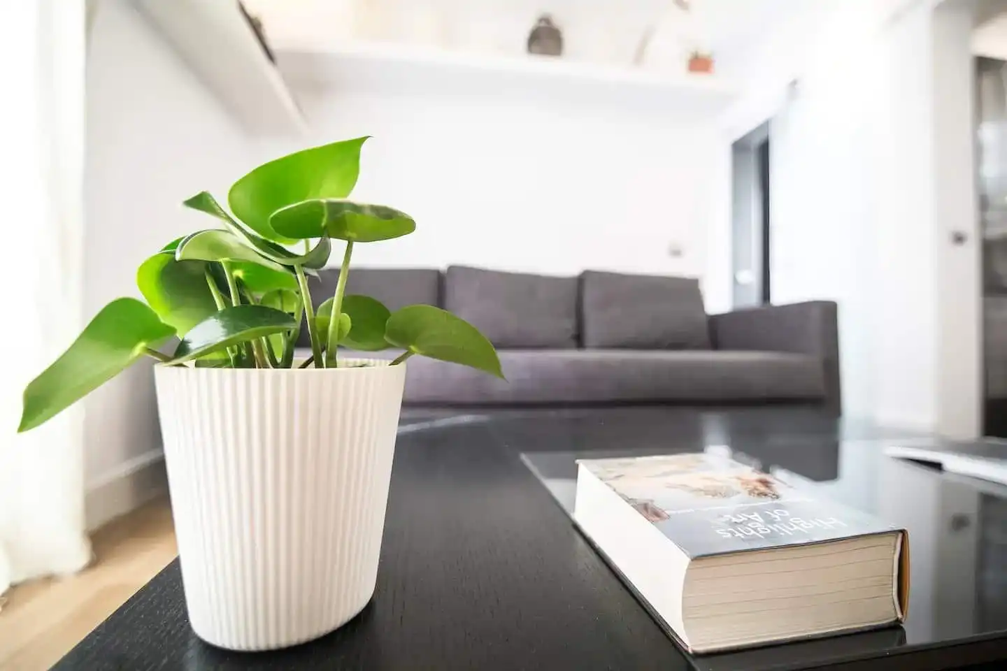 Living room of Flat for rent in Barcelona