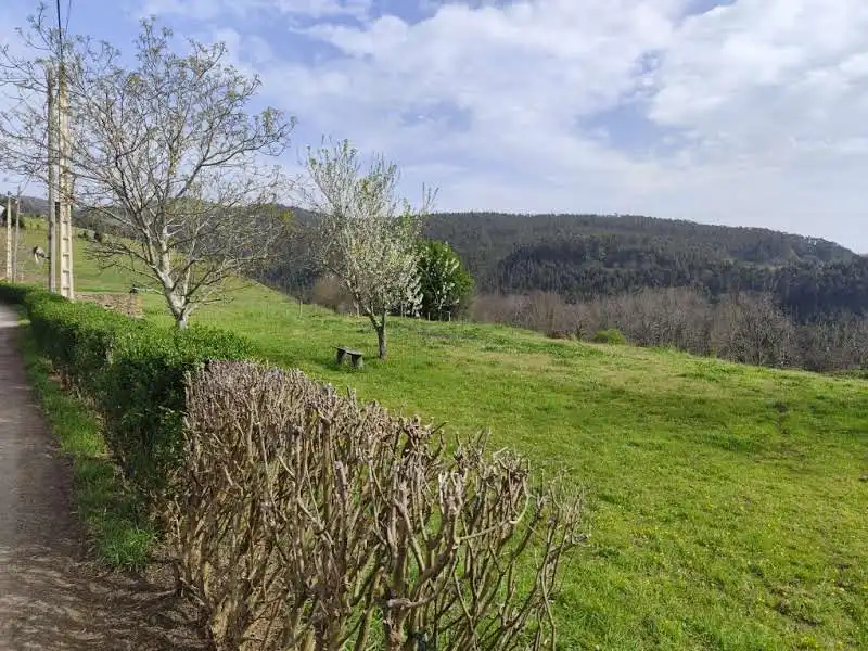 Terreni e lotti in vendita a Pravia, imagen 20