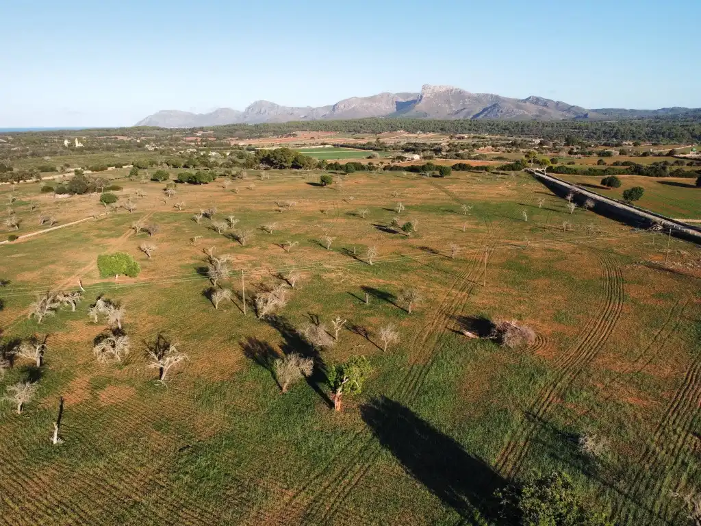 Finca rústica en venta en Santa Margalida
