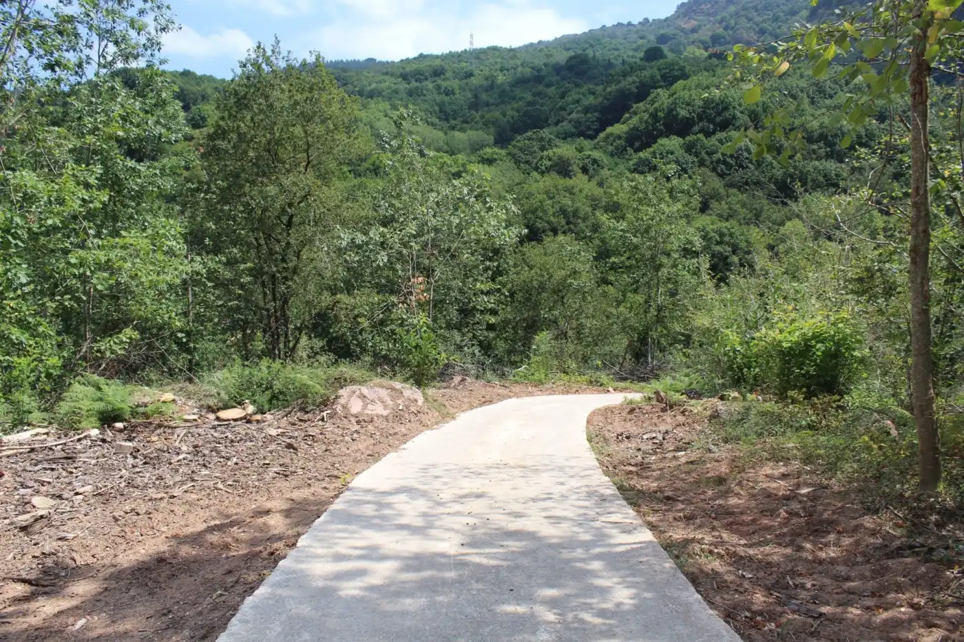 Vista exterior de Finca rústica en venta en Sunbilla