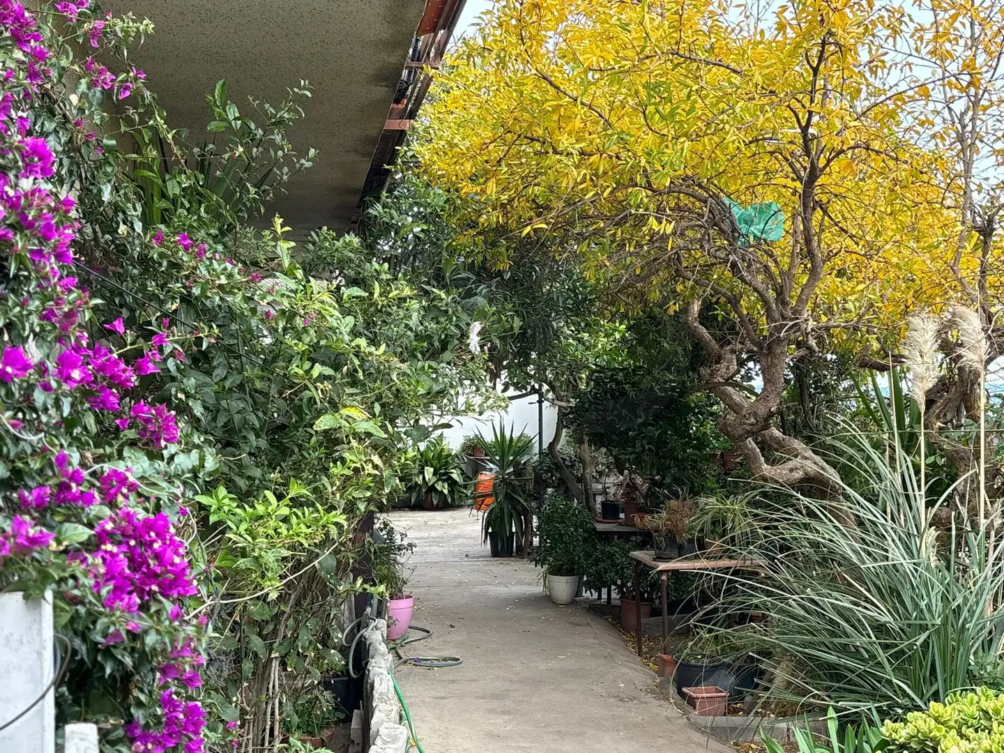 Garten von Haus oder Chalet zum Verkauf in Terrassa mit Klimaanlage, Heizung und Terrasse