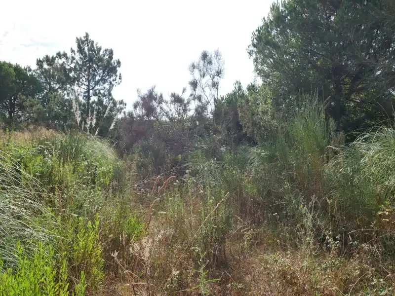 Residential land for sale in Avinguda Rafael Albertí 46, imagen 29