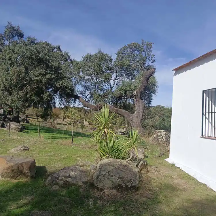 Country house for sale in El Castillo de las Guardas, imagen 5