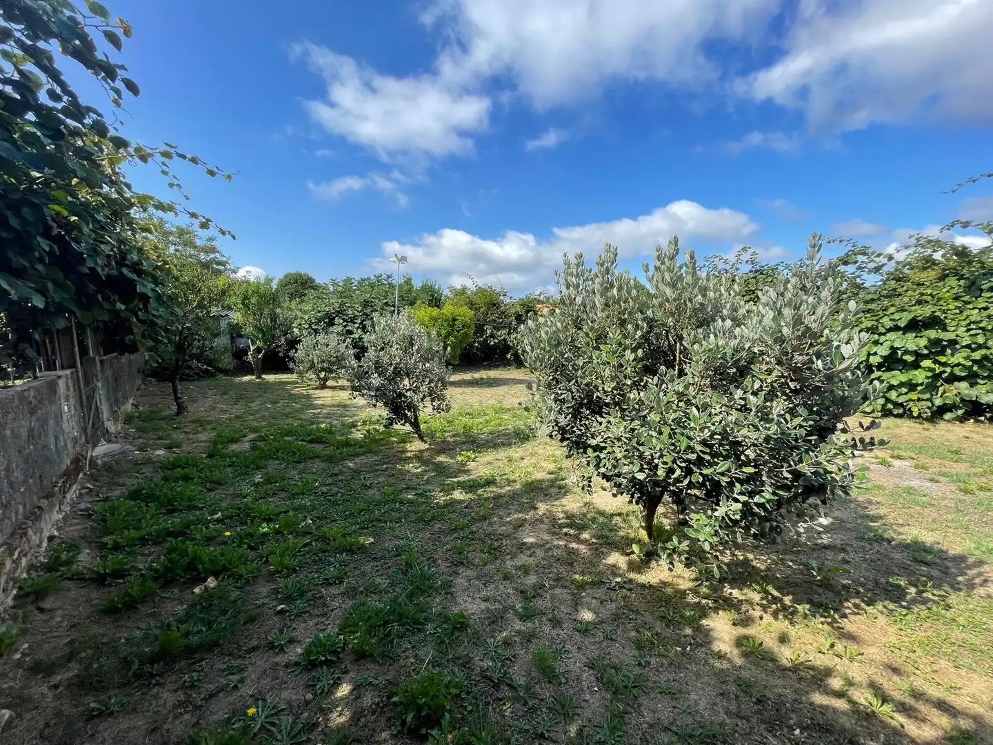 Casa o xalet en venda en Ferrol amb Calefacció i Jardí privat