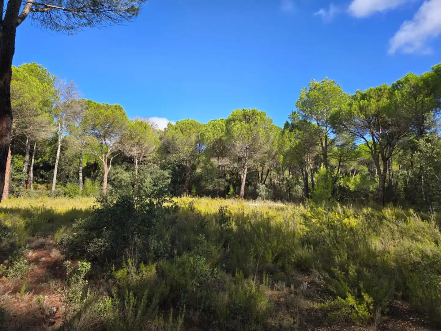 Terreno residenziale in vendita a Pedanías - Extrarradio, imagen 8
