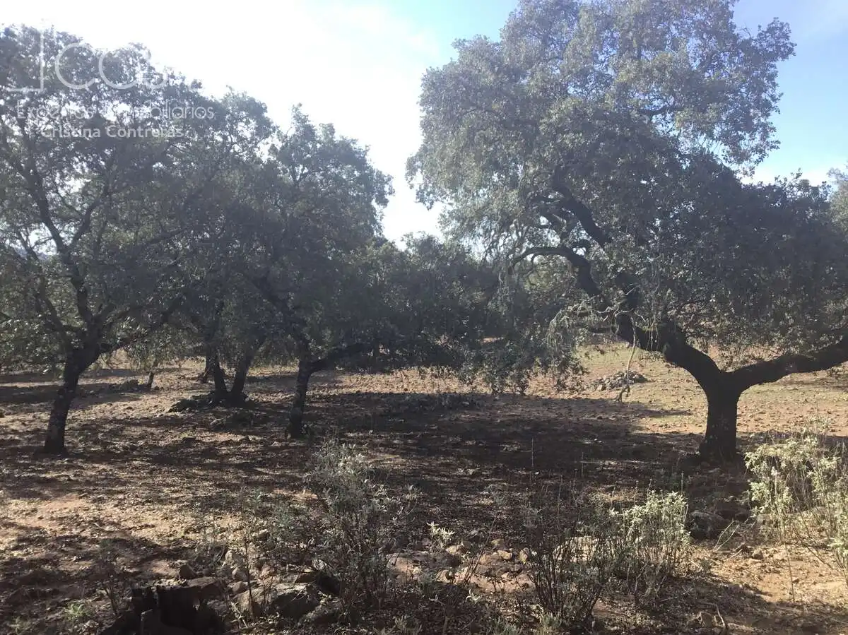 Terreni e lotti in vendita a Cazalla de la Sierra, imagen 23