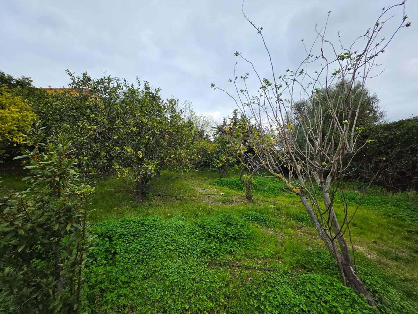 Terreni e lotti in vendita a La Granja - La Colina - Los Pastores, imagen 15
