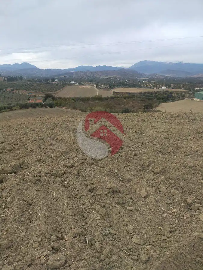 Terreno rústico en venta en Alquería - Torrealquería, imagen 6