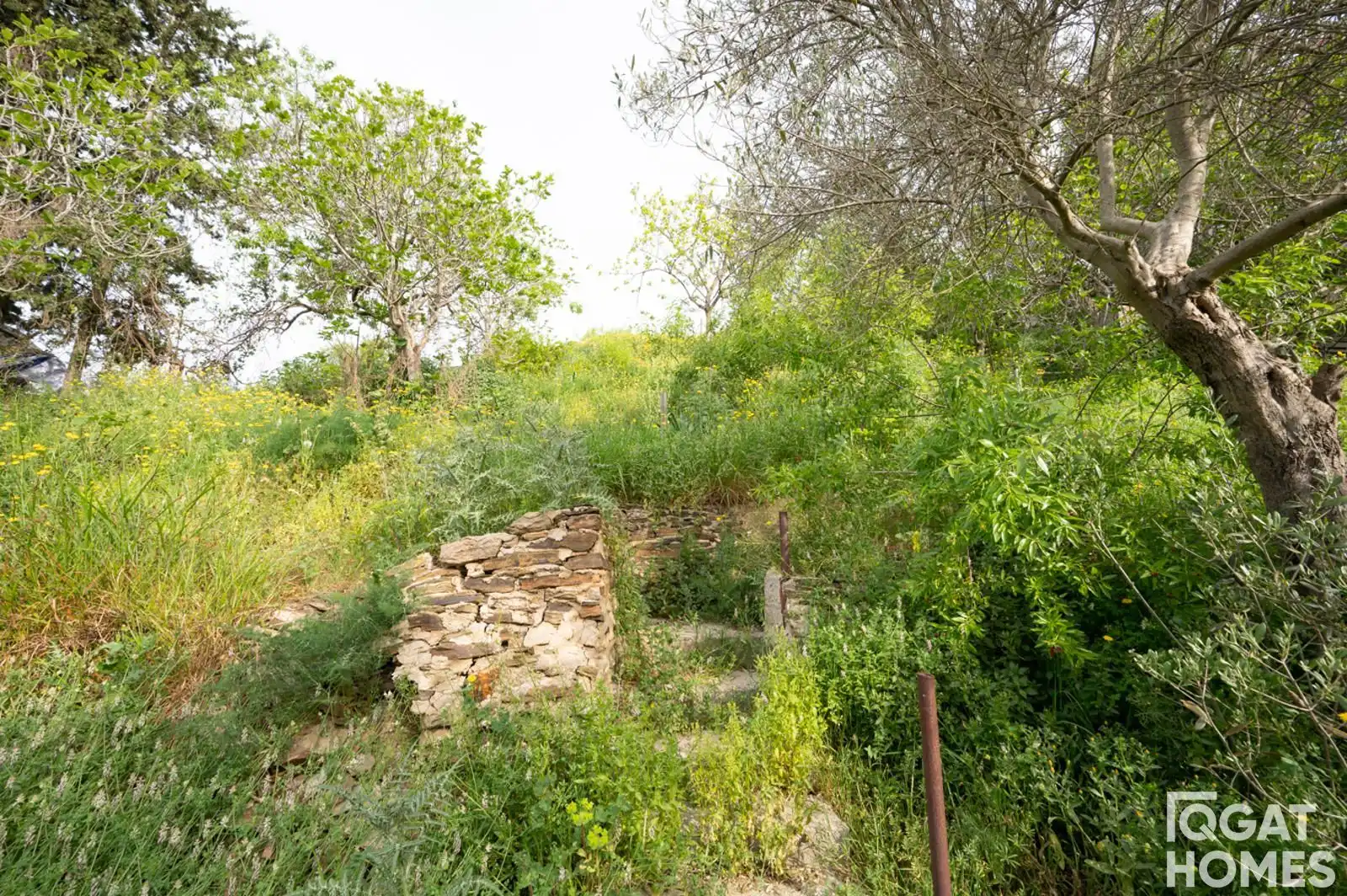 Terreno rustico in vendita a desert, imagen 16