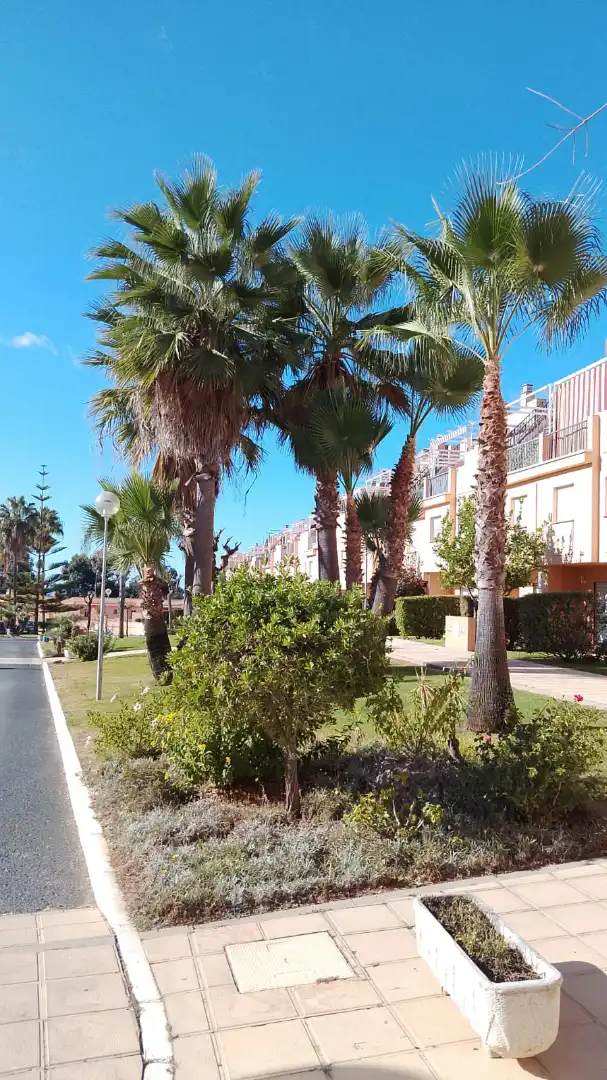 Vista exterior de Dúplex en venda en Islantilla amb Jardí privat, Terrassa i Traster