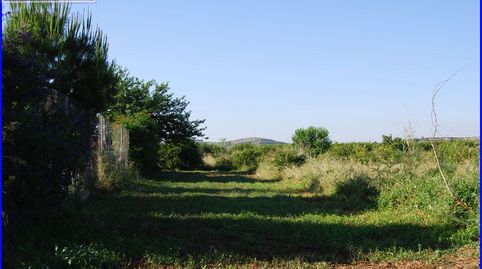 ¡Haz realidad tus sueños de campo con esta parcela rústica en Fortuna! ????, immagine 5