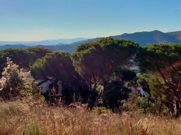 Residential land for sale in Avinguda Sant Mateu, imagen 2